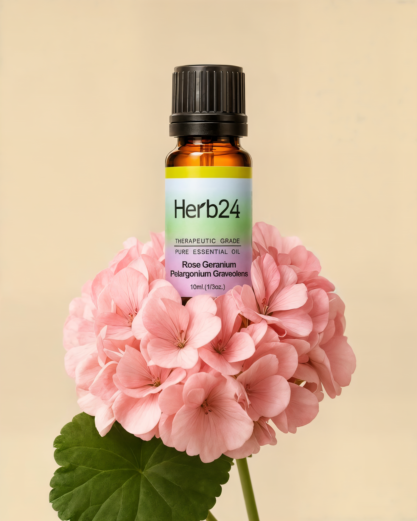 Herb24 philosophy