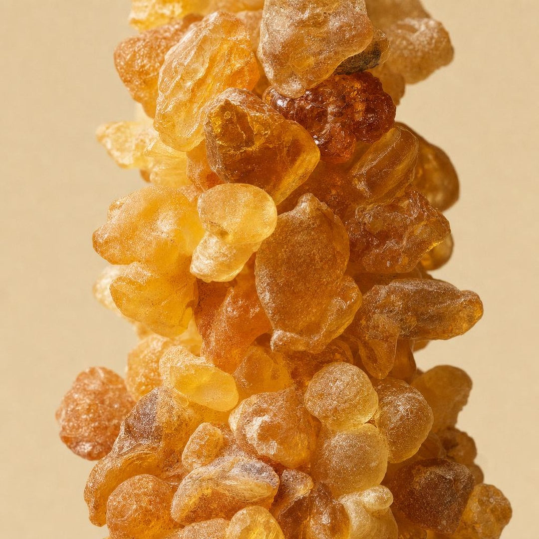 9587011000348-botanical