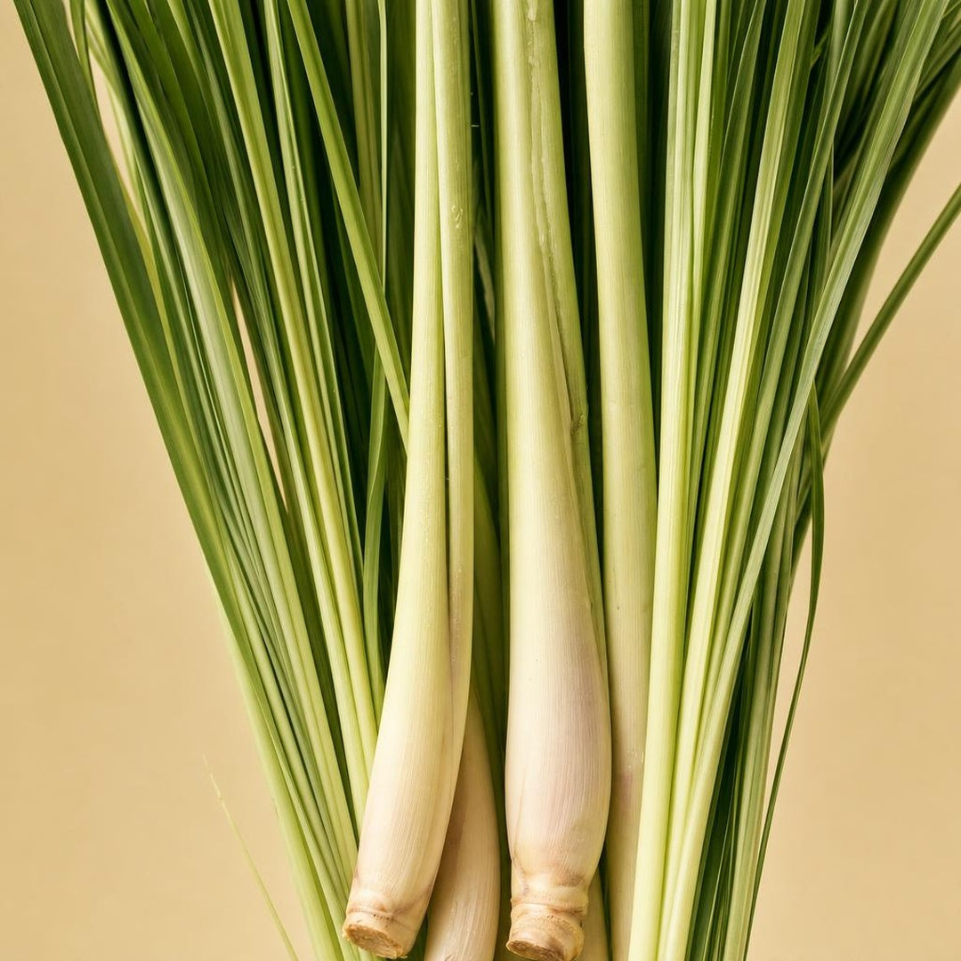 9587011000492-botanical