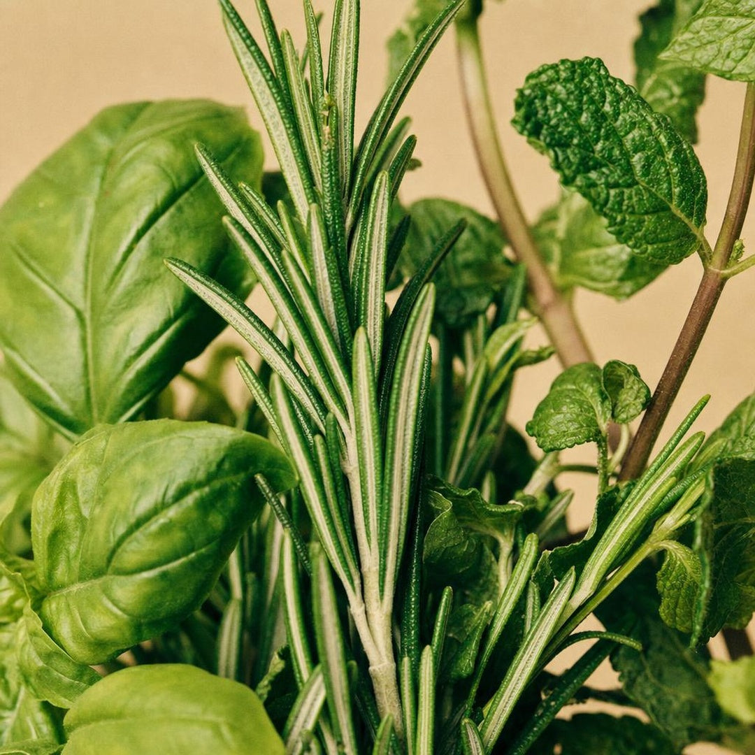 9587121000115-botanical