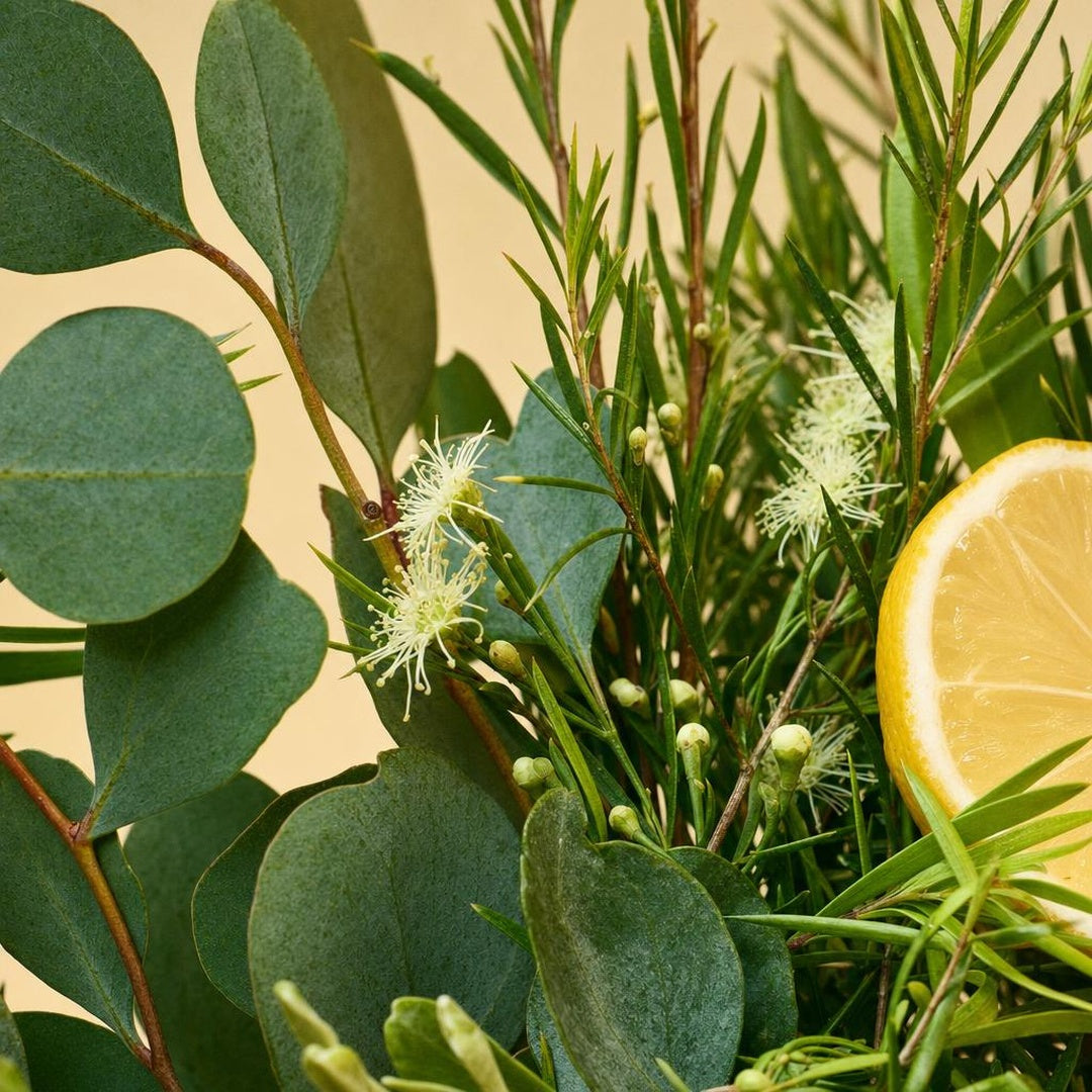9587121000214-botanical