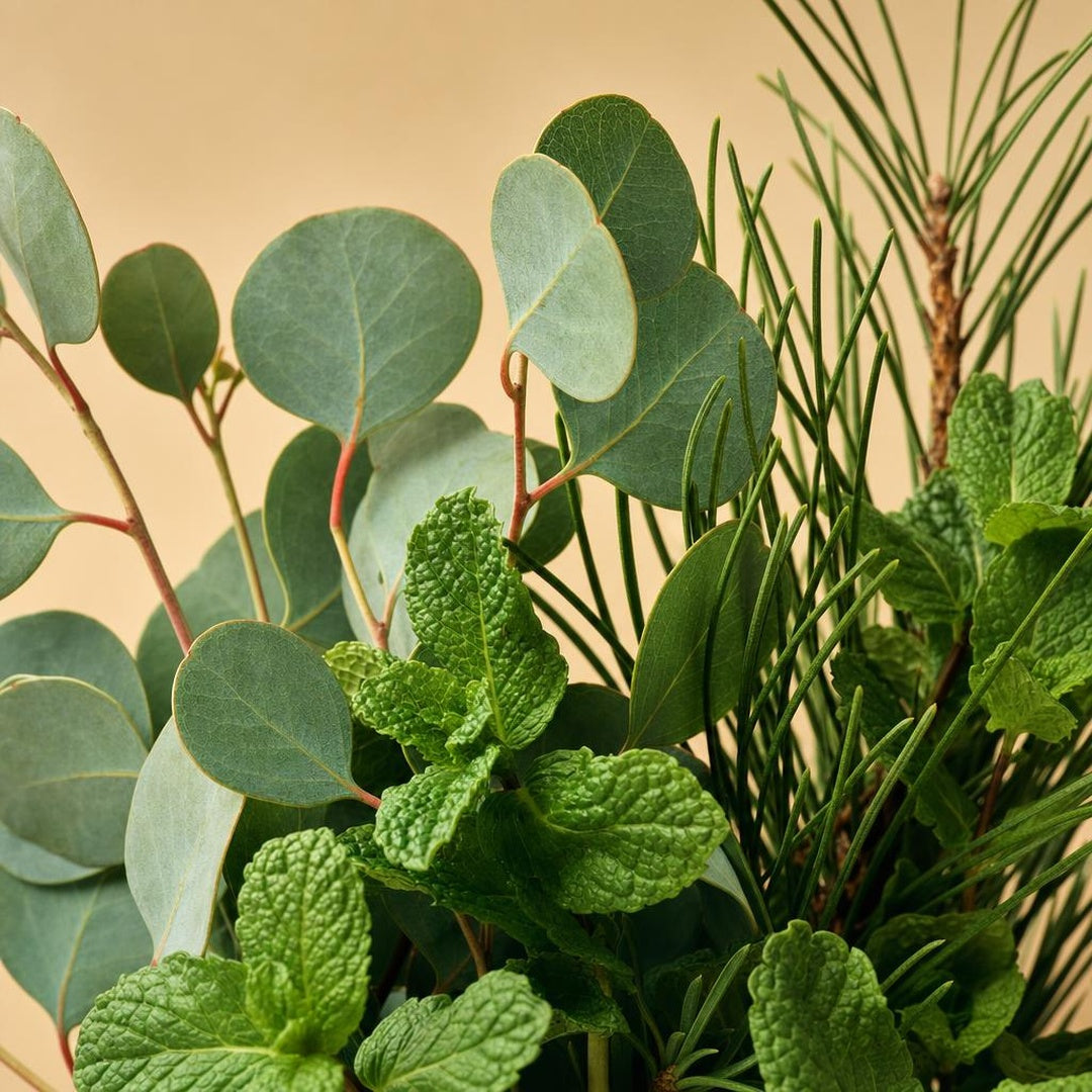 9587121000290-botanical