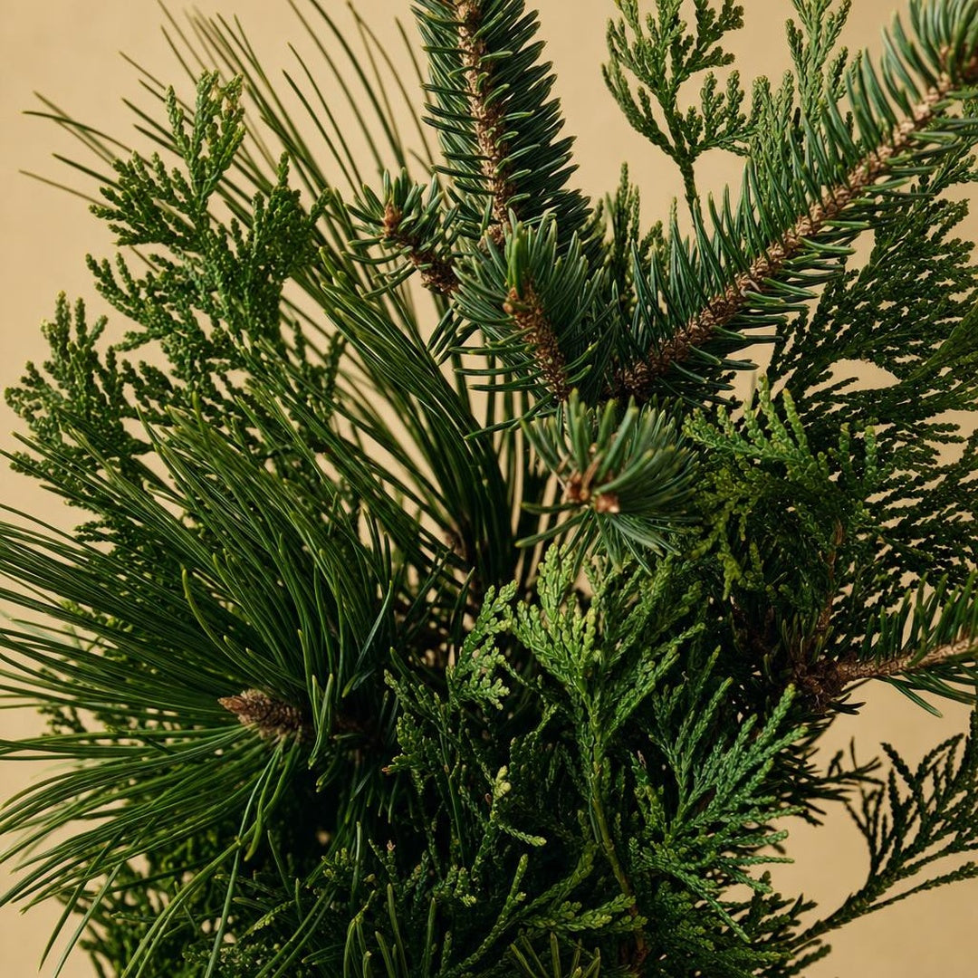 9587121000610-botanical