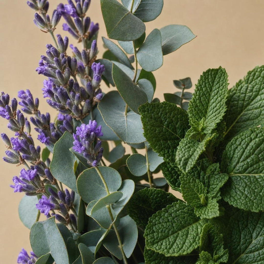 9587207770048-botanical