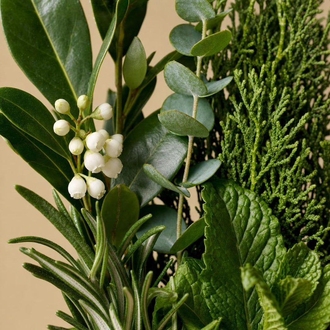 9587207770055-botanical