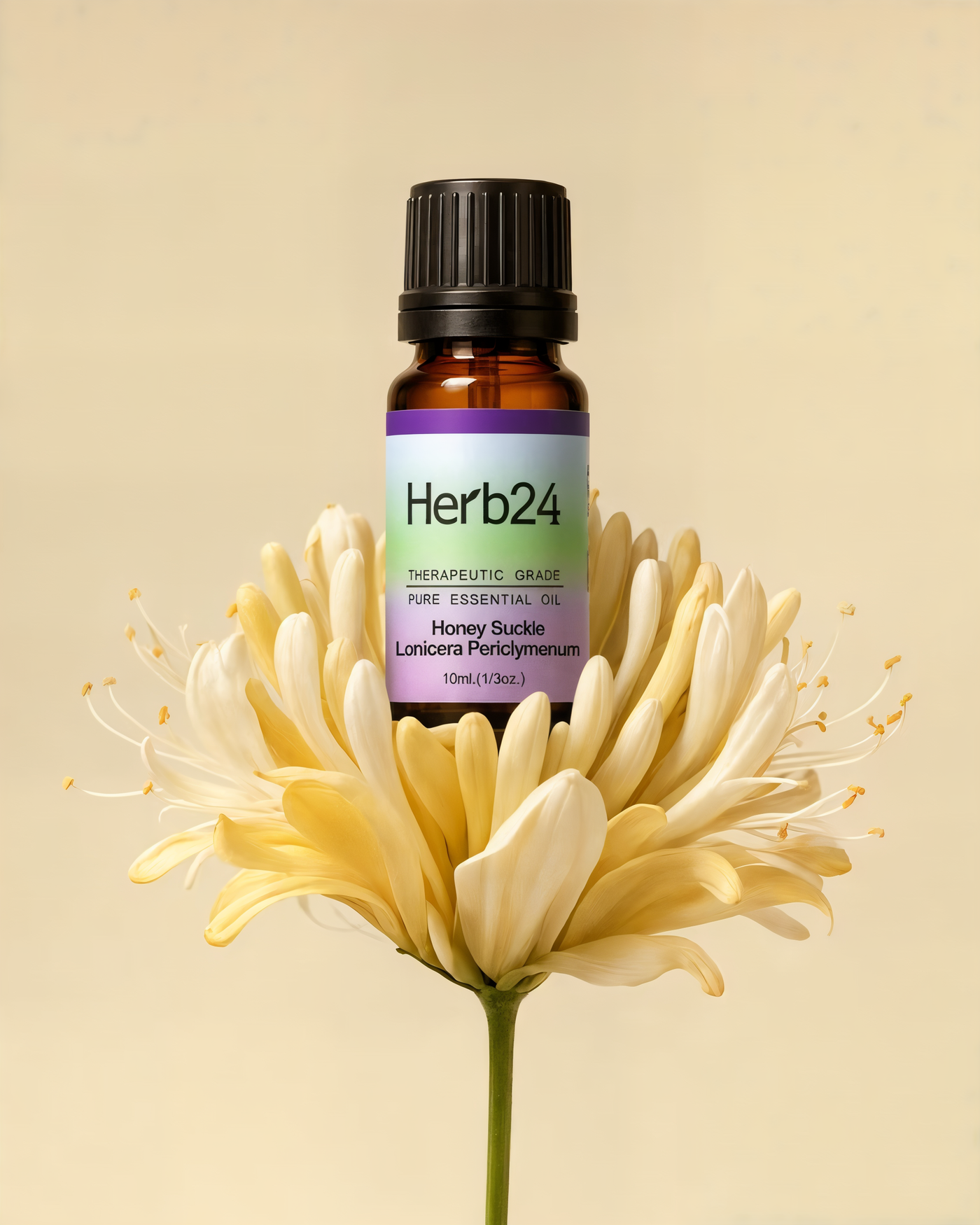 Herb24 founders